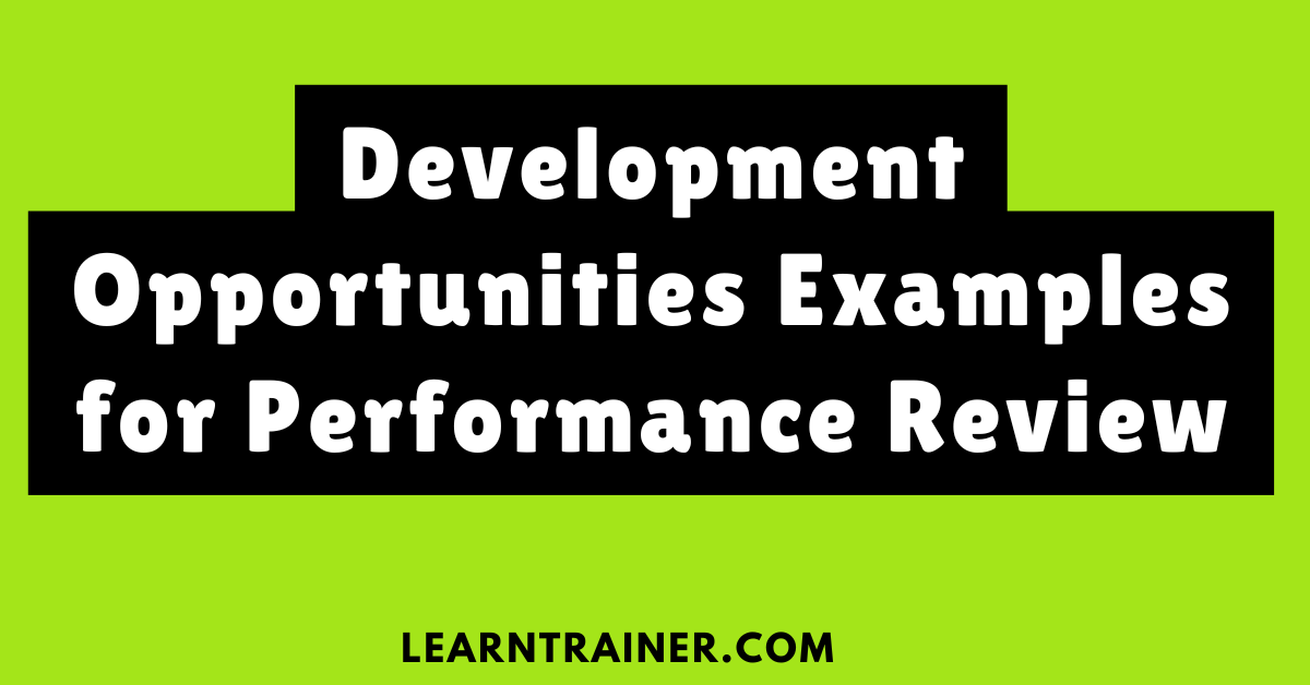 Read more about the article Development Opportunities Examples for Performance Review