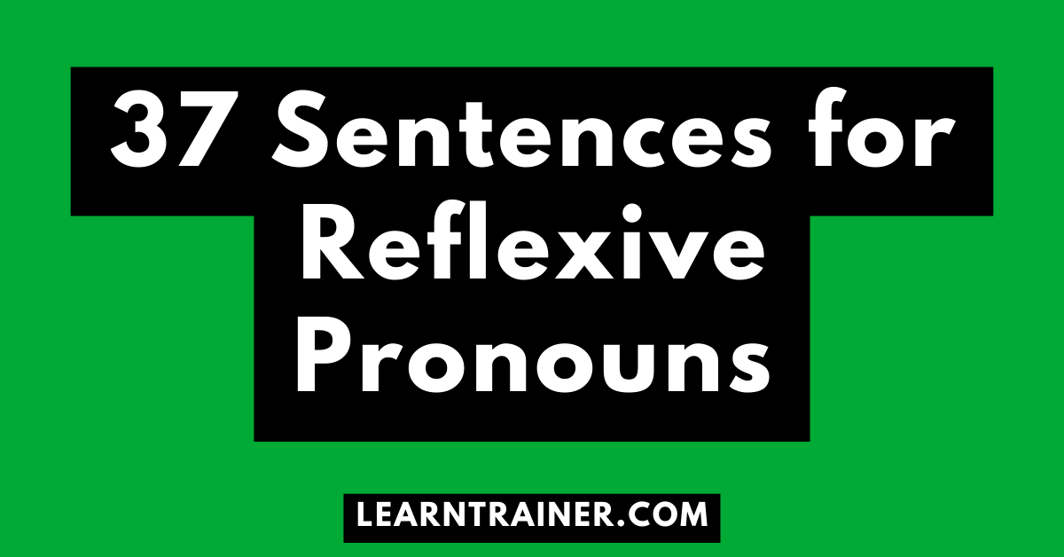 Read more about the article 37 Sentences for Reflexive Pronouns